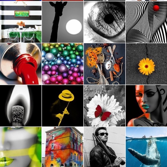 Meet your Posher, Ogee - Picture 4 of 15